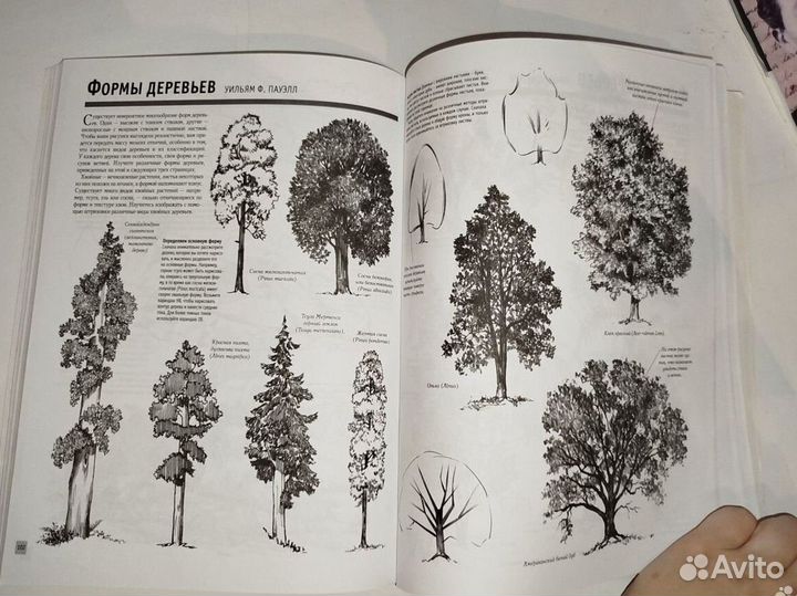 Книга основы рисования