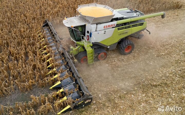 Жатка Olimac Drago Gold, 2023