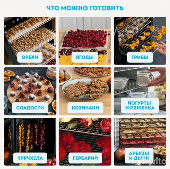 Дегидратор rawmid Modern RMD-10