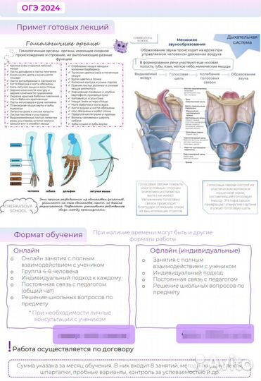Репетитор по биологии ОГЭ и ЕГЭ