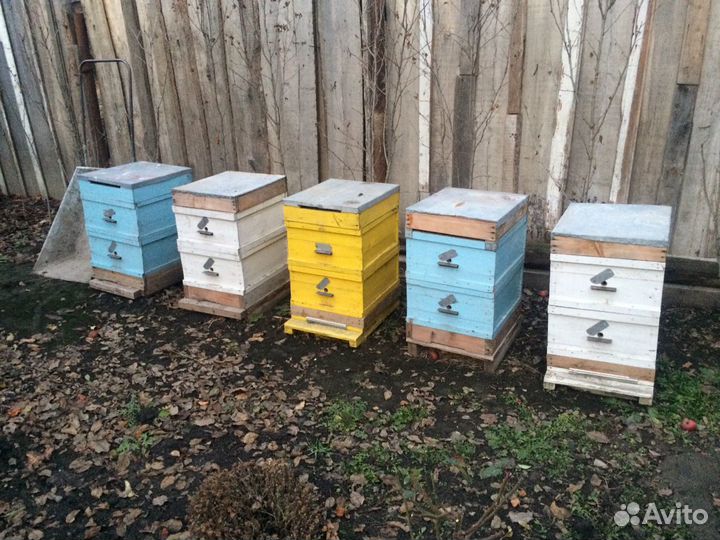 Ящик для перевозки пчёл - 