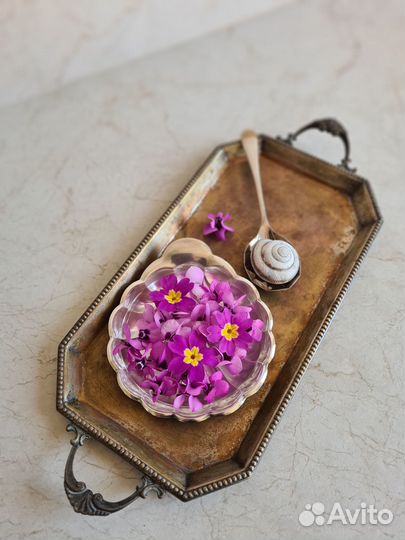 Ракушка икорница винтажная