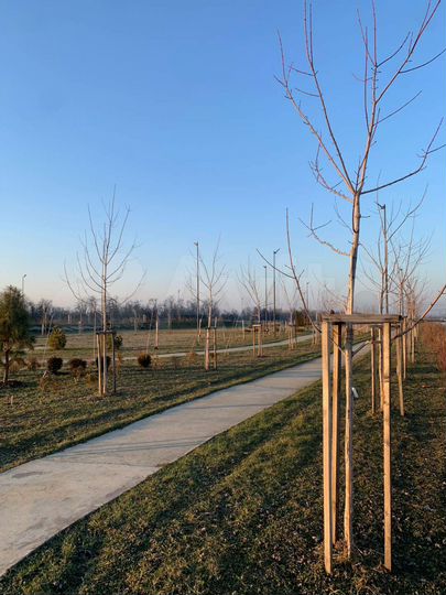 Участок 6 сот. (ИЖС)