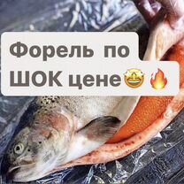 Форель свежевыловленная