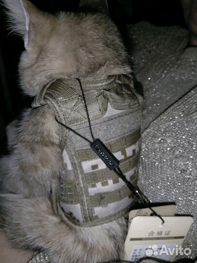 Одежда для собаки,кота