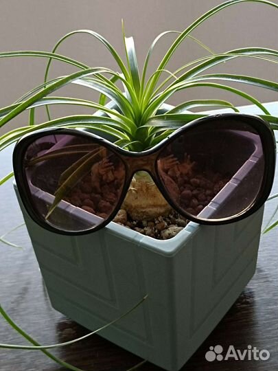 Солнцезащитные очки женские