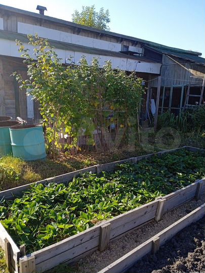 Дача 50 м² на участке 6 сот.