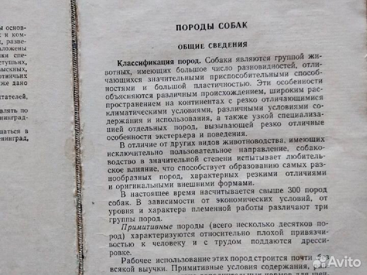 Книга по собаководству 59 гг