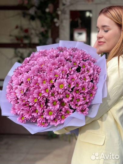 Хризантема букет цветы