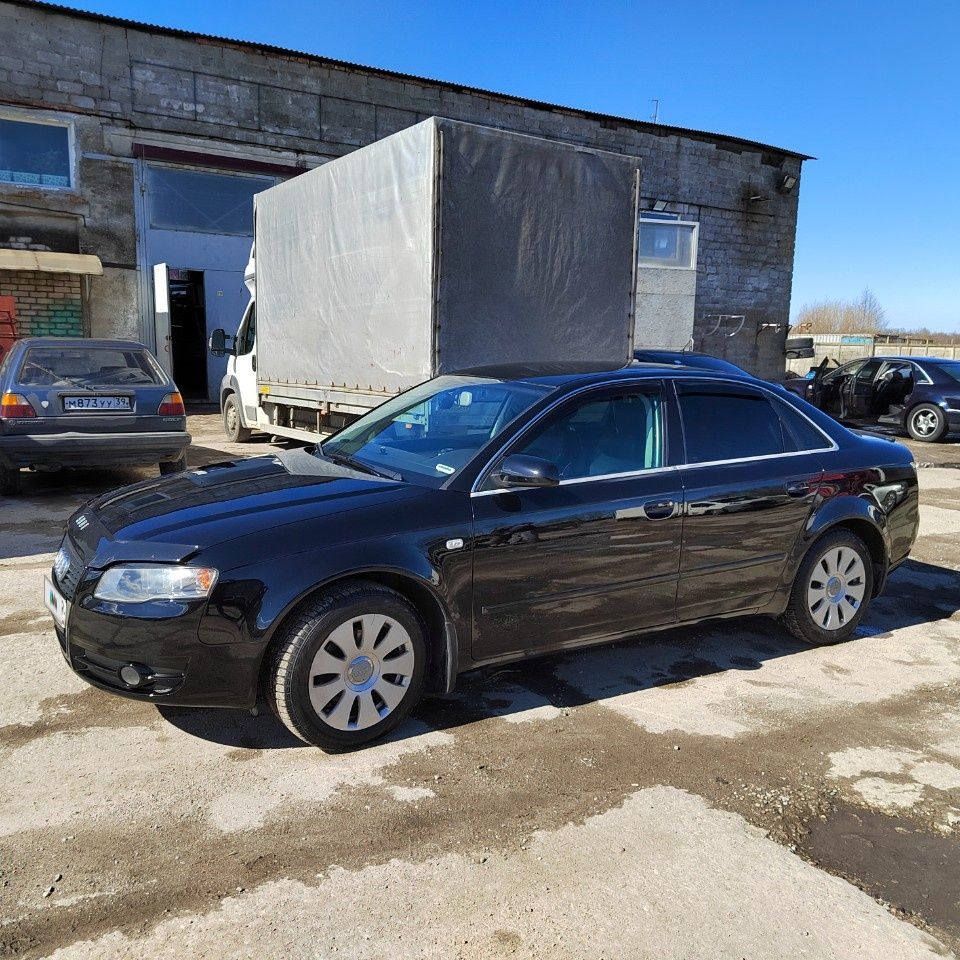 Audi A4: фото владельца