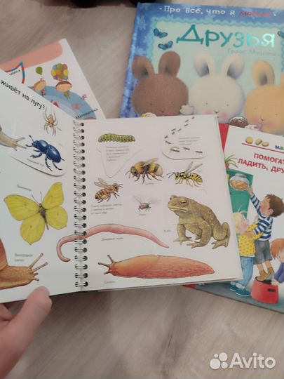 Замечательные книги для малышей, с окошками,Янушко