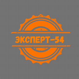 Эксперт 54