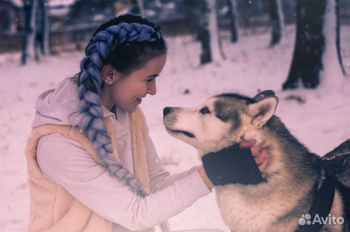 Афрокосы зизи афрокудри дреды