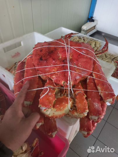 Икра, Крабы