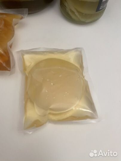 Чайный гриб Комбуча Джун Jun