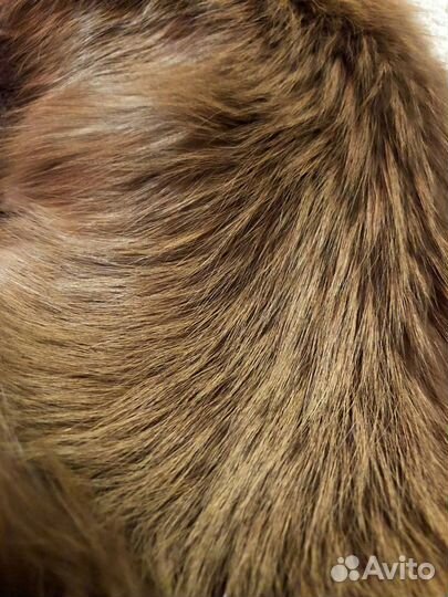 Воротник натуральный мех