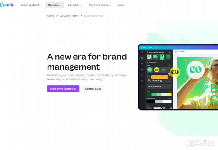 Подписка canva pro (90 дней)