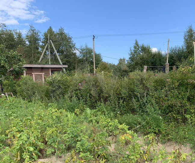 Участок 6,7 сот. (СНТ, ДНП)