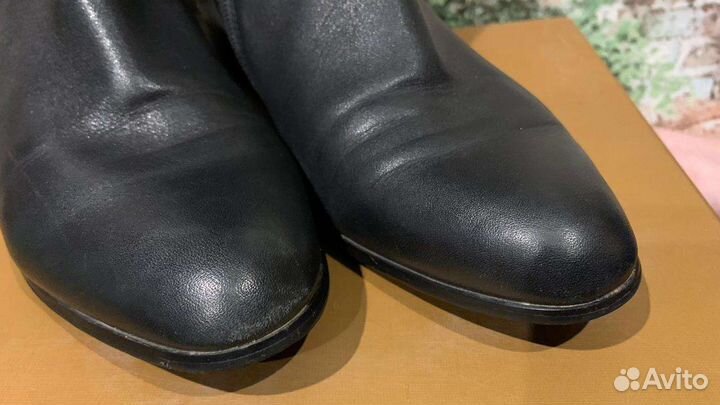 Сапоги женские демисезонные