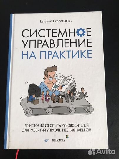 Системное управление на практике. Е.Севастьянов