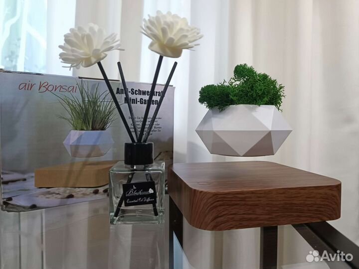 Левитирующий горшок