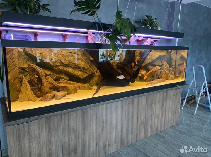 Изготовление аквариумов