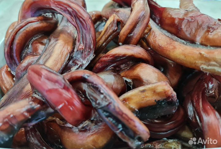 Бычий Корень сушеный Лакомство для собак Вкусняшка