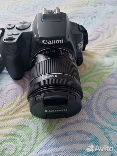 Цифровая камера canon