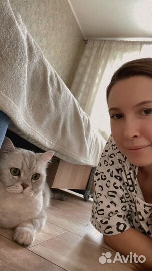 Передержка животных