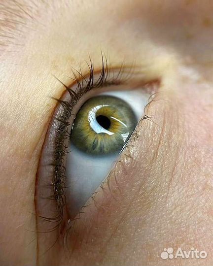 Татуаж бровей