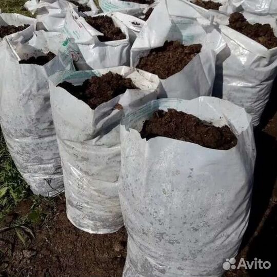 Перегной коровый