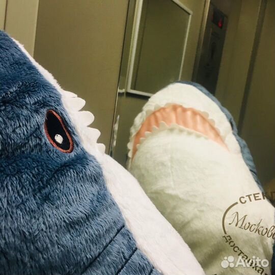 Акула из икеи блохэй