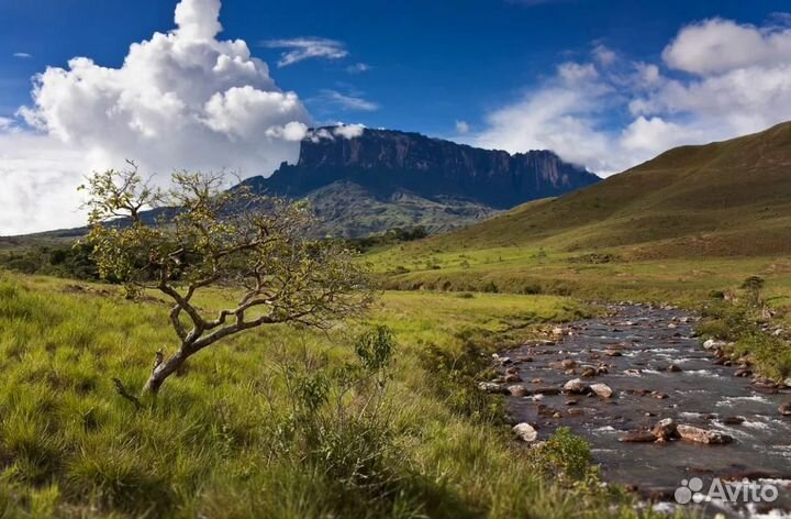 Эксклюзив-тур в Венесуэлу 12 нч