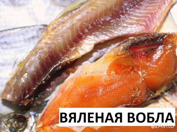 Вяленая вобла/Доставка прямиком из Астрахани