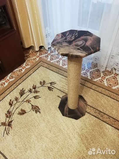 Когтеточка