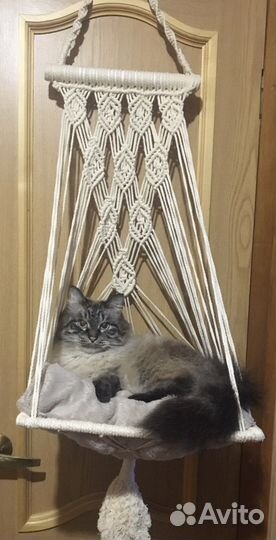 Гамак для кошек