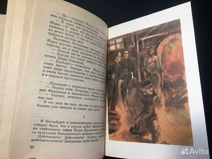 Подснежник: Повесть о Георгии Плеханове, Осипов