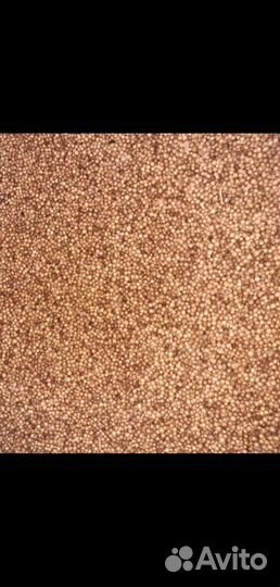 Кориандр киндза