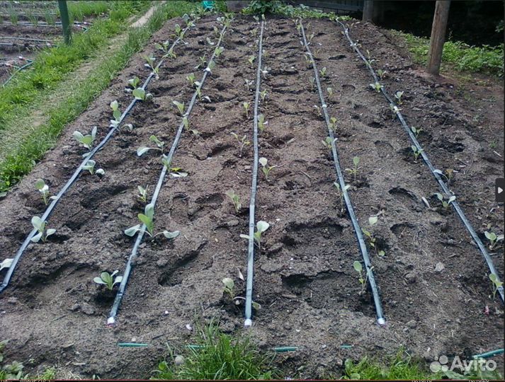 Капельный полив