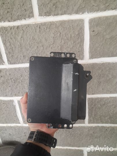 Мозги Январь 5.1