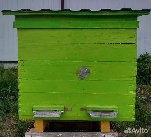 Ульи б/у, пчелы Карпатка, пчелопакеты