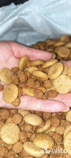 Корм 12,5 кг для крупных собак премиум