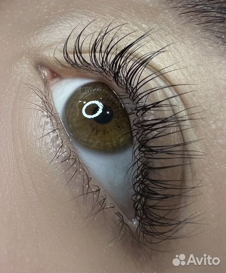 Ламинирование и ботокс ресниц, окрашивание бровей