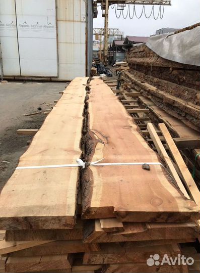 Доска не обрезная кедр сибирский