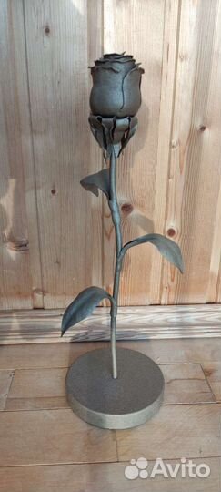 Роза железная