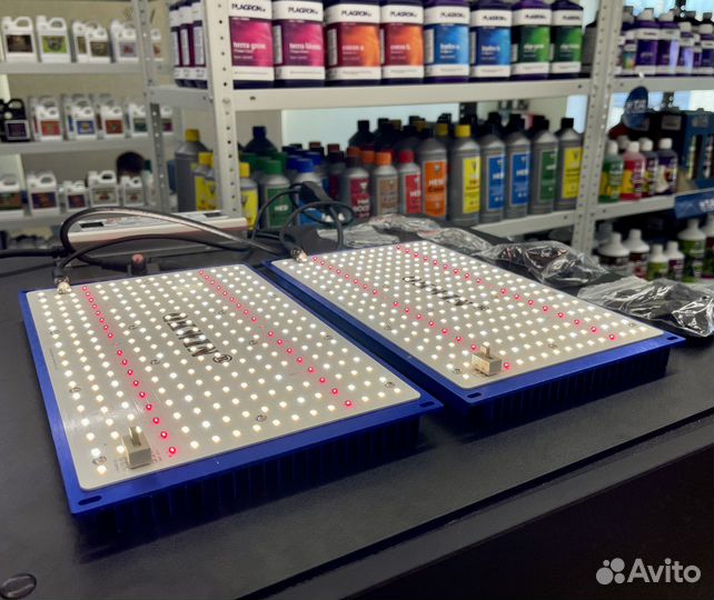 Quantum Board Samsung 240W LM301 Новый