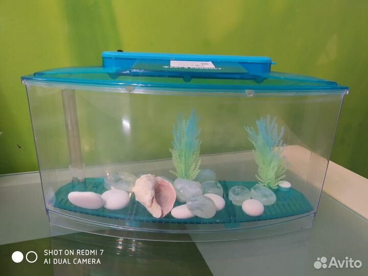 Аквариум