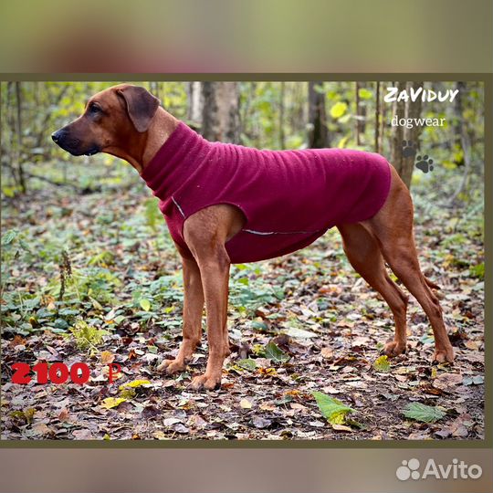 Одежда (попона) для собак крупных пород