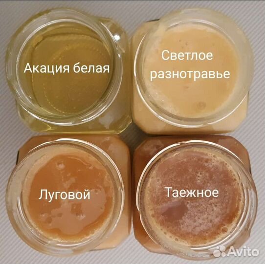 Мед алтайский