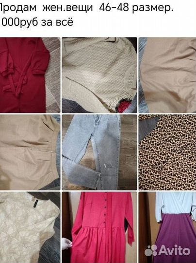 Женская одежда